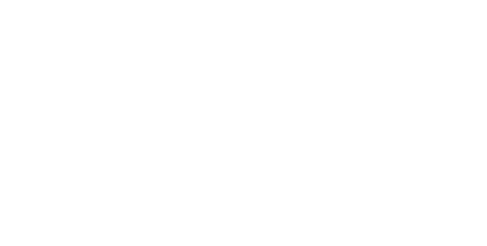 drive is safety